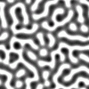 black1.gif